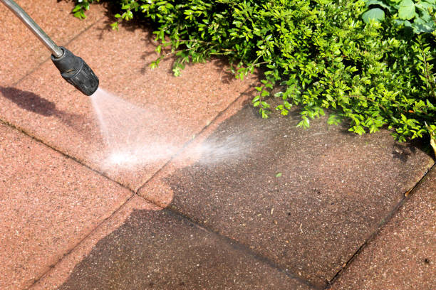 Best Local Pressure Washing Services  in Hansville, WA